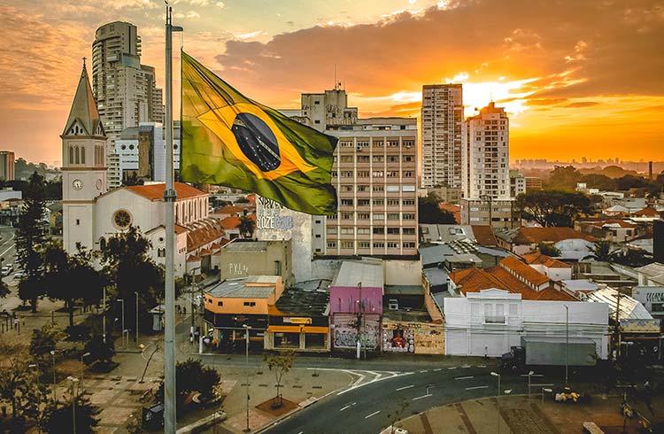 brazil 7