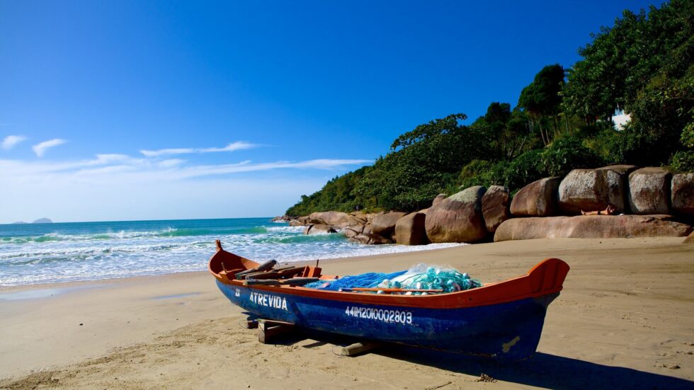 brazil 8